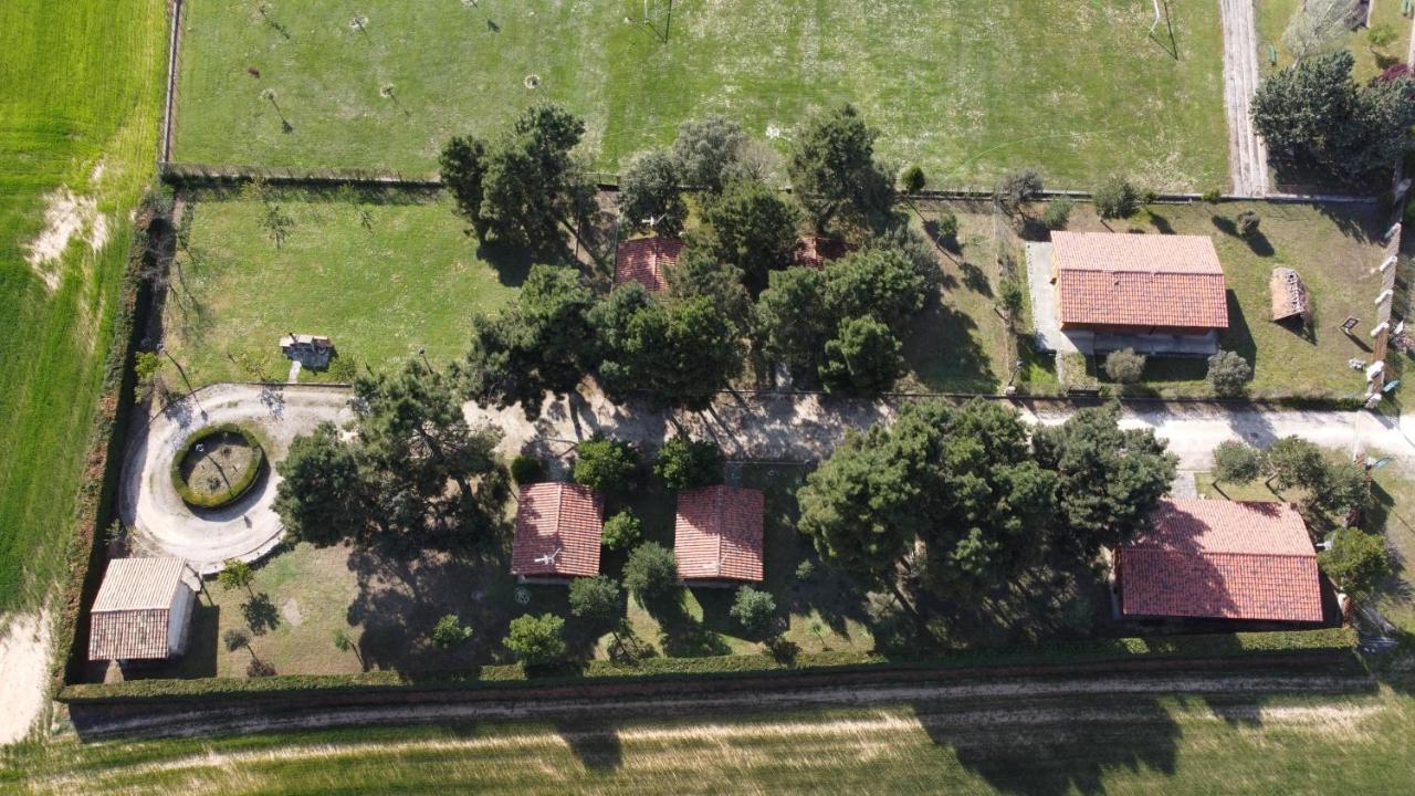 Casitas Del Pinar Hébergement de vacances Bayubas de Abajo
