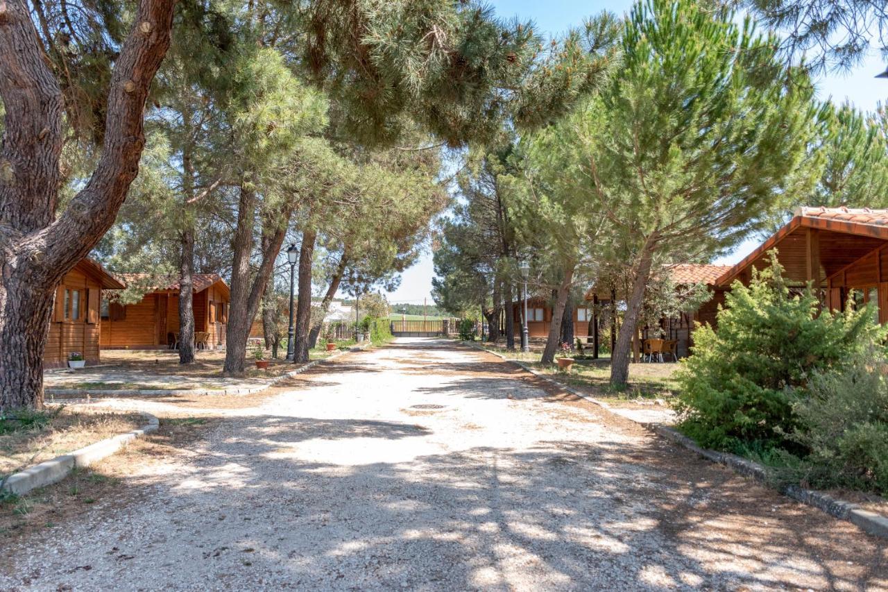 Hébergement de vacances Casitas Del Pinar
